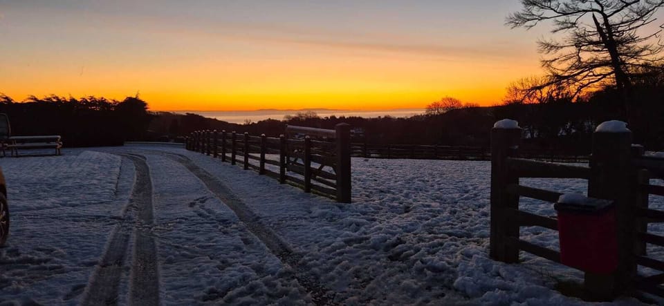 Snowy Paddock
