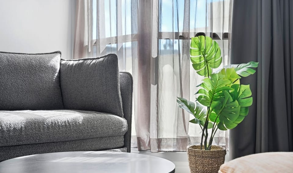Bright and cozy living room with a comfortable sofa bed