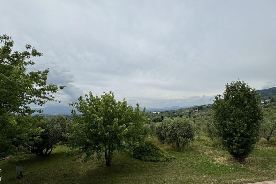 Immediate Surroundings [summer] (<1 km)