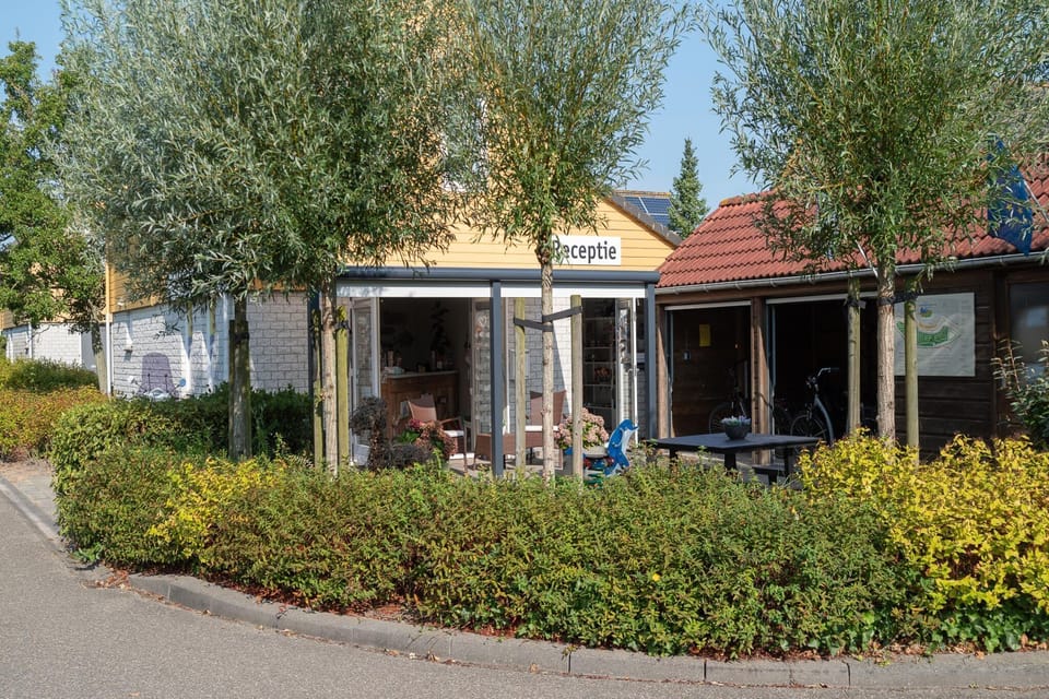 Entrance / Reception