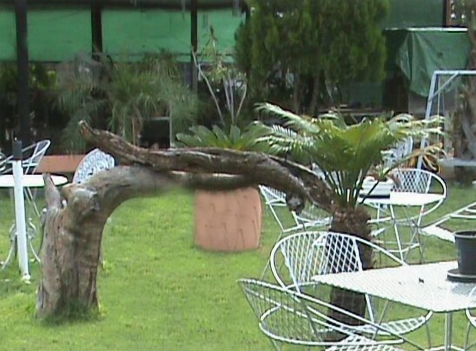 Tshimologo Farm Guest House Bed and Breakfast in Africa