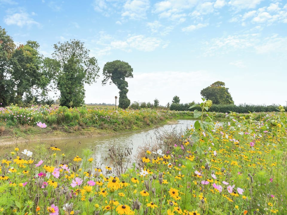 Surrounding area | The Granary - Manor Farm Properties, Cranswick, near Driffield