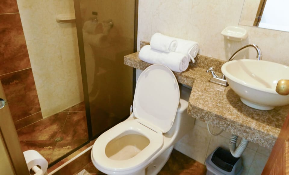 Double Room, City View | Bathroom | Shower, free toiletries, towels, soap