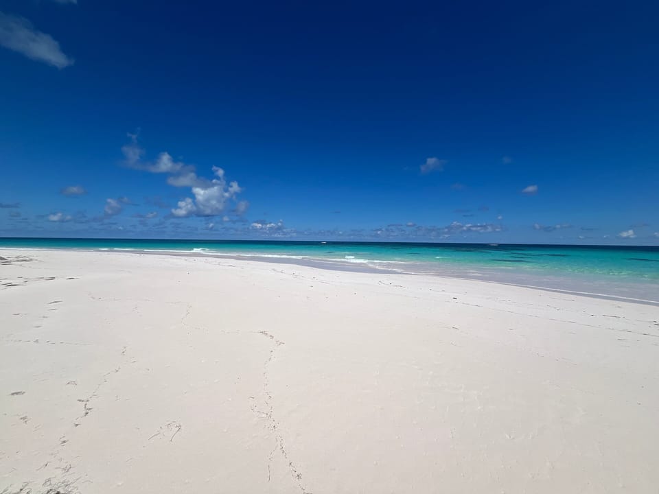 Our beach facing north.  A mile of pristine sand, deserted as usual.
