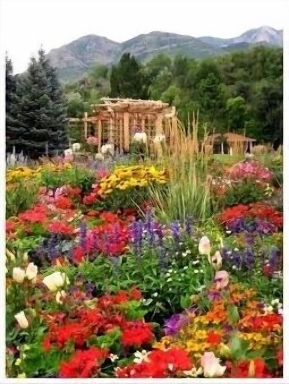 Ogden botanical gardens, beautiful place to stroll and enjoy nature.