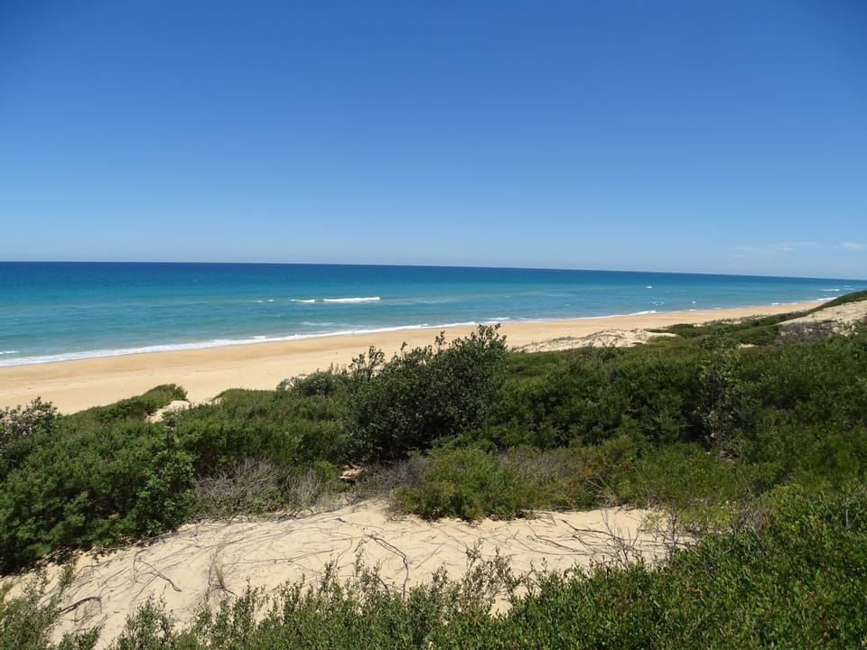Beach