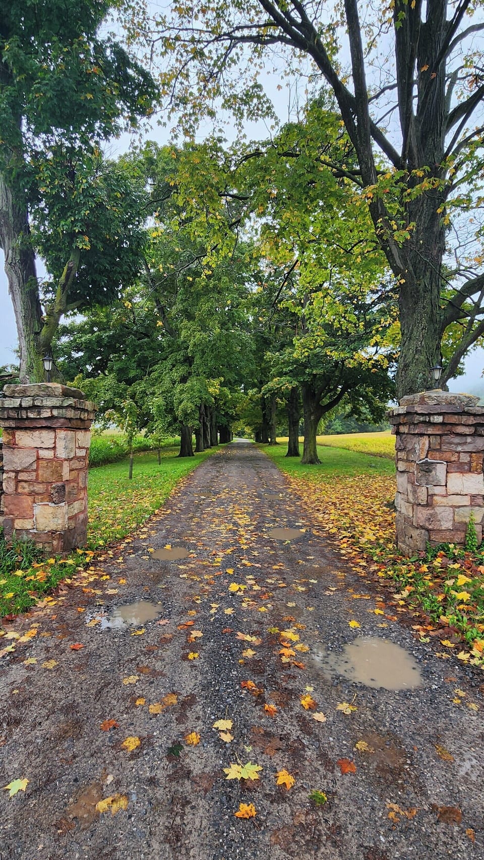 Driveway