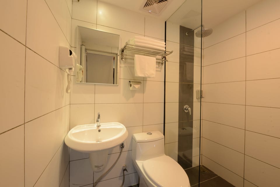 Shower, hair dryer, bidet, towels