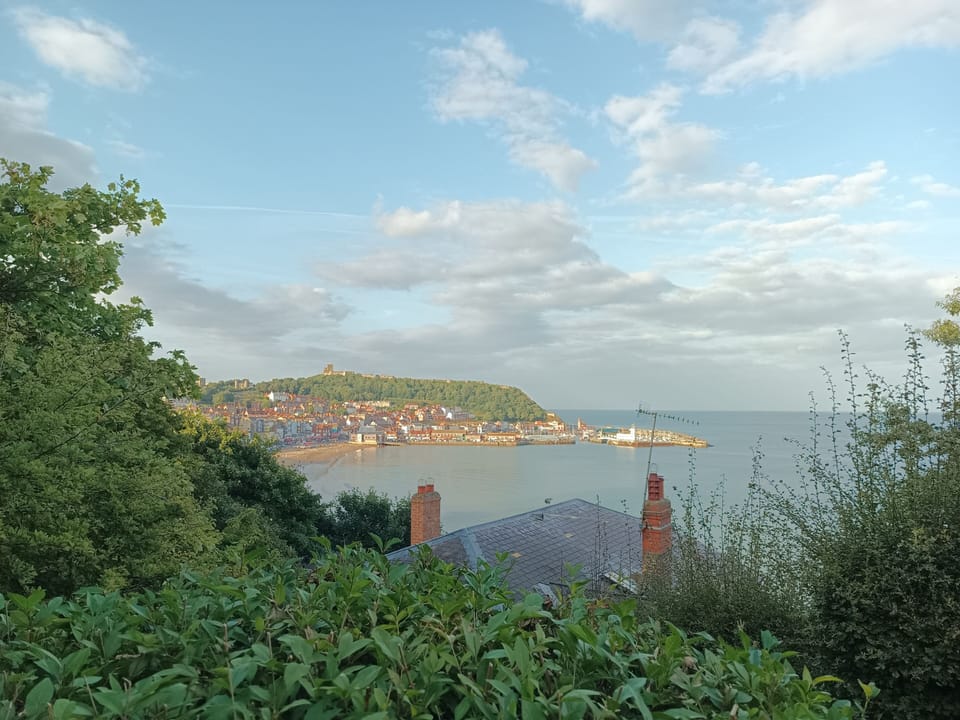 Image 16