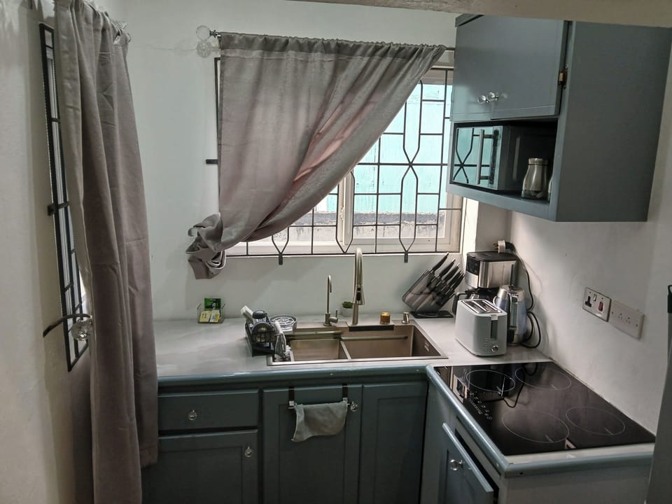 Apartment | Private kitchen | Fridge, microwave, oven, stovetop