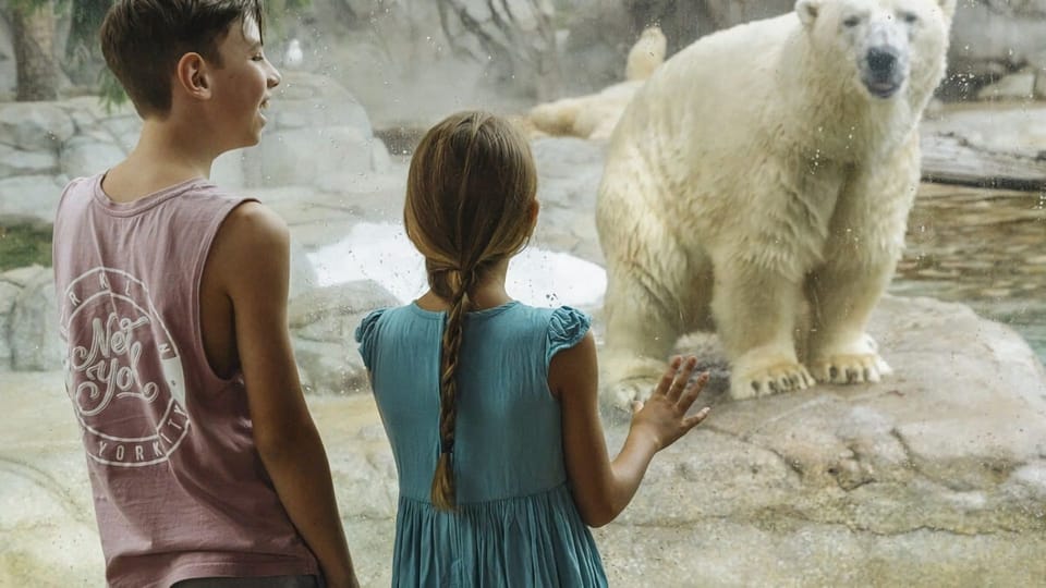Sea World