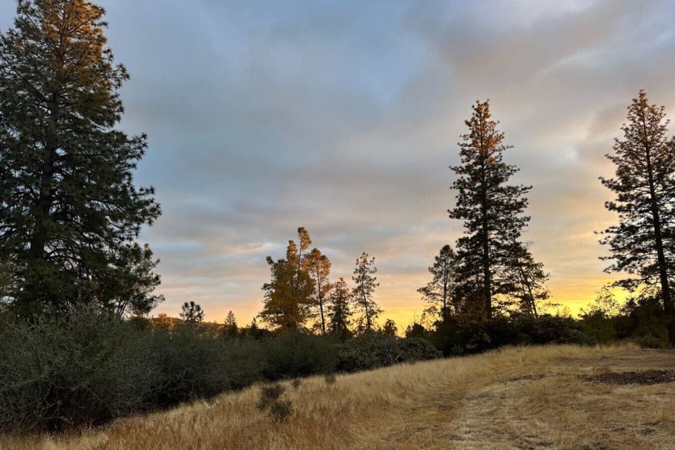 Property in the Morning