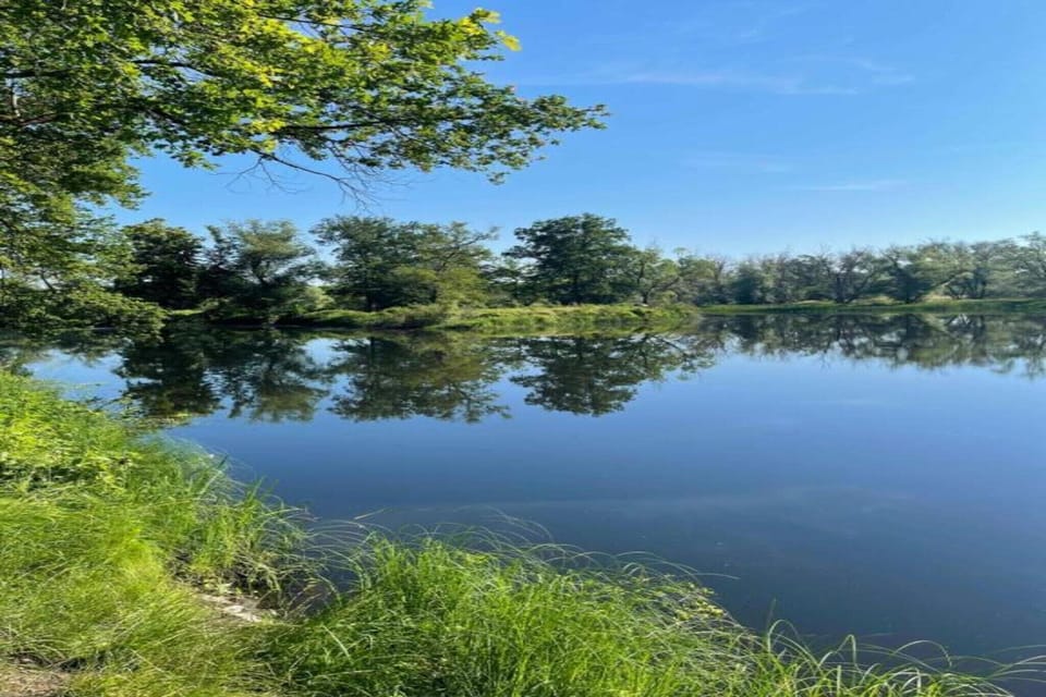 Region [summer] (>5 km)