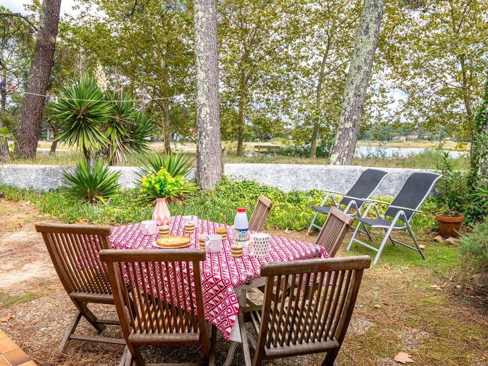 Plant, Table, Furniture, Property, Chair, Outdoor Table, Wood, Tableware, Outdoor Furniture, Tree
