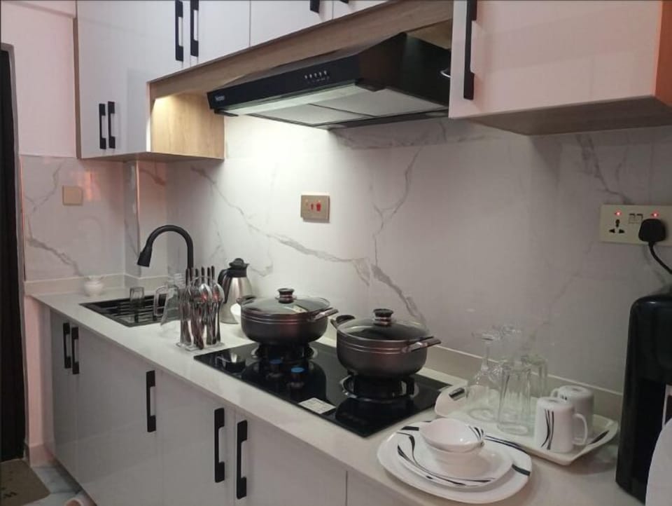 Classic Apartment | Private kitchen | Fridge, microwave, oven, cookware/dishes/utensils
