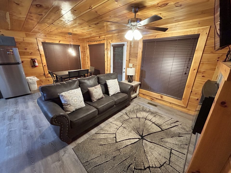 Pull Out Sofa in Living Area
