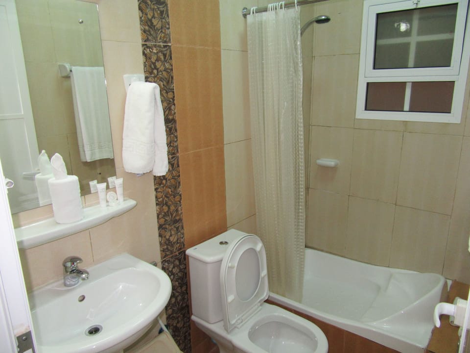 Deluxe Studio Suite, City View | Bathroom | Shower, free toiletries, hair dryer (on request), slippers