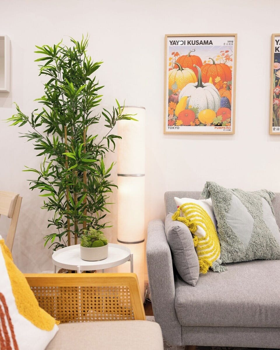 Living Room Space