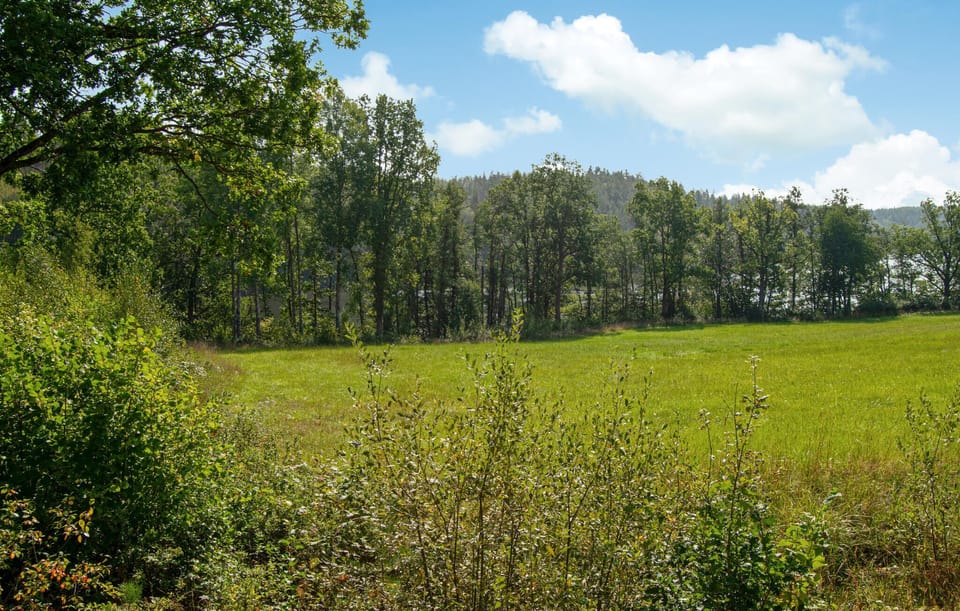 area
