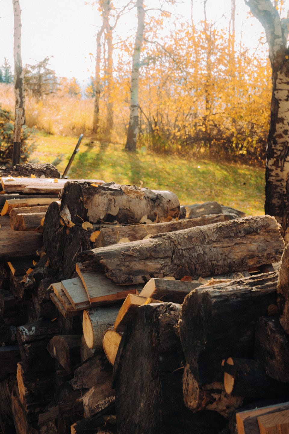Free firewood is provided for guests to use at the idyllic firepit! Watch the sunset, enjoy a s'more, and stay for the stars. 