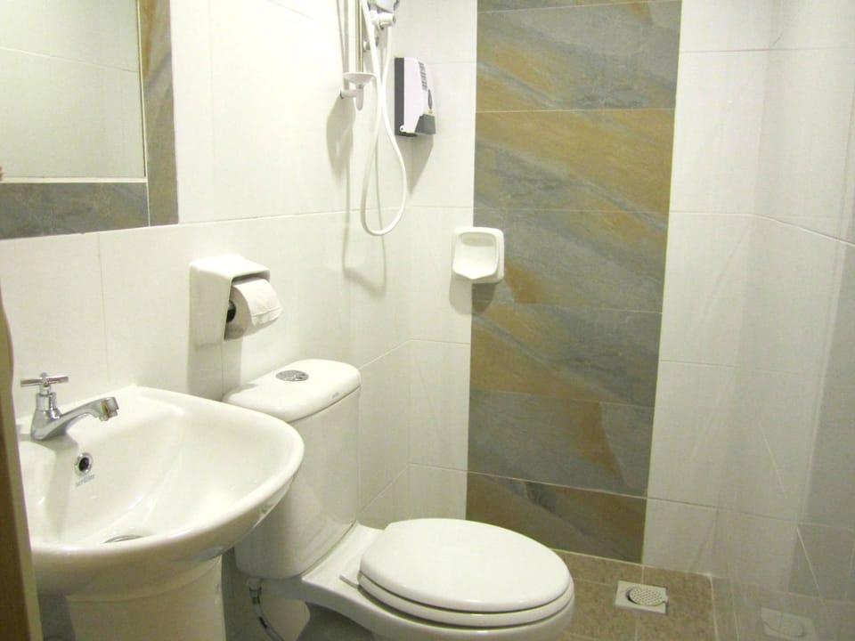 Shower, hair dryer, slippers, bidet