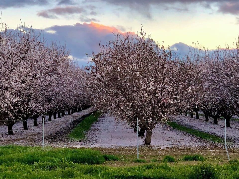 5ADE89B6-F882-45B0-88D4-CDF149121FEF_1_105_c