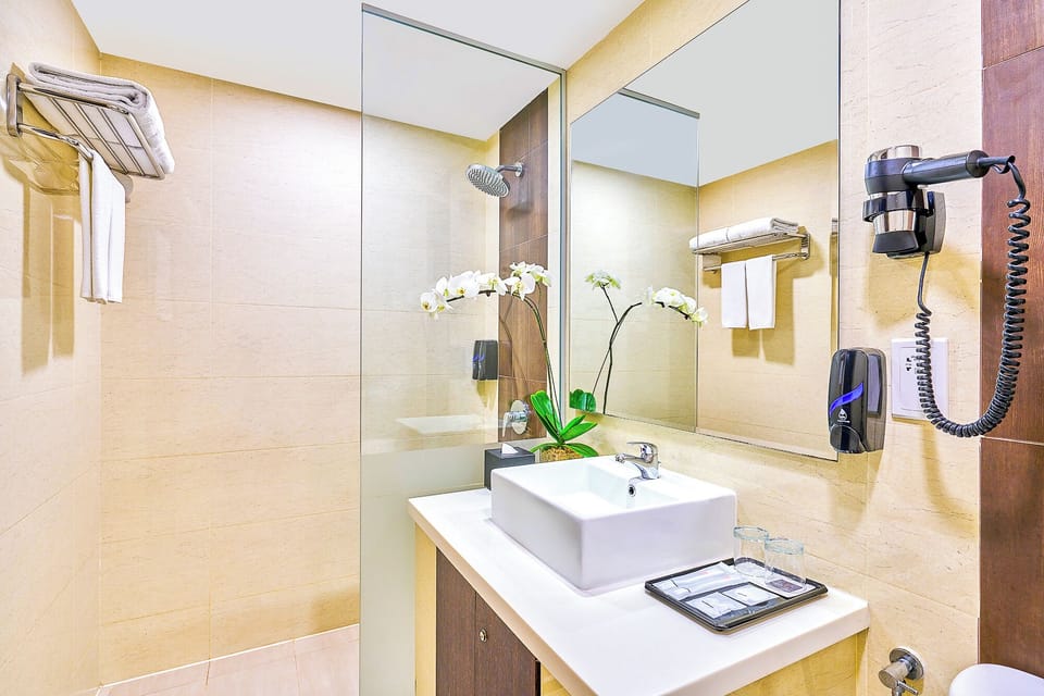 Shower, free toiletries, hair dryer (on request), bidet
