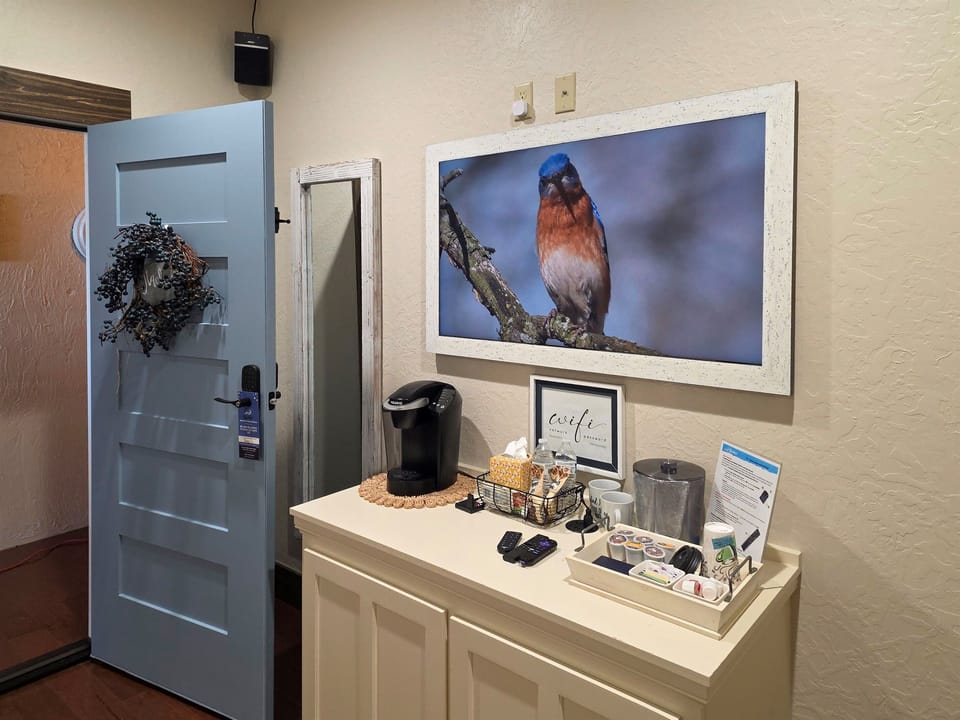 Rachel - Framed TV with Art