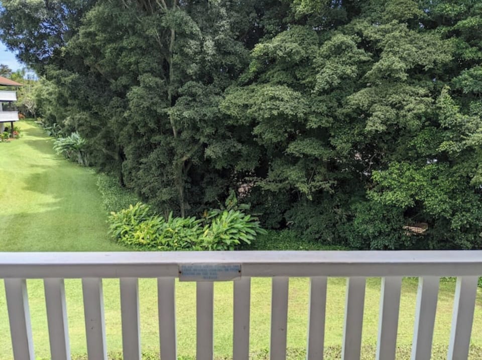 The lanai