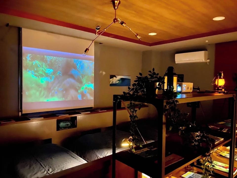 Television