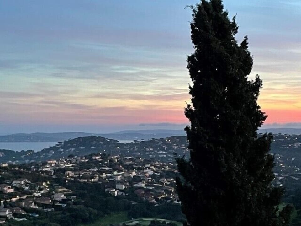 PANORAMIC VIEW (2)