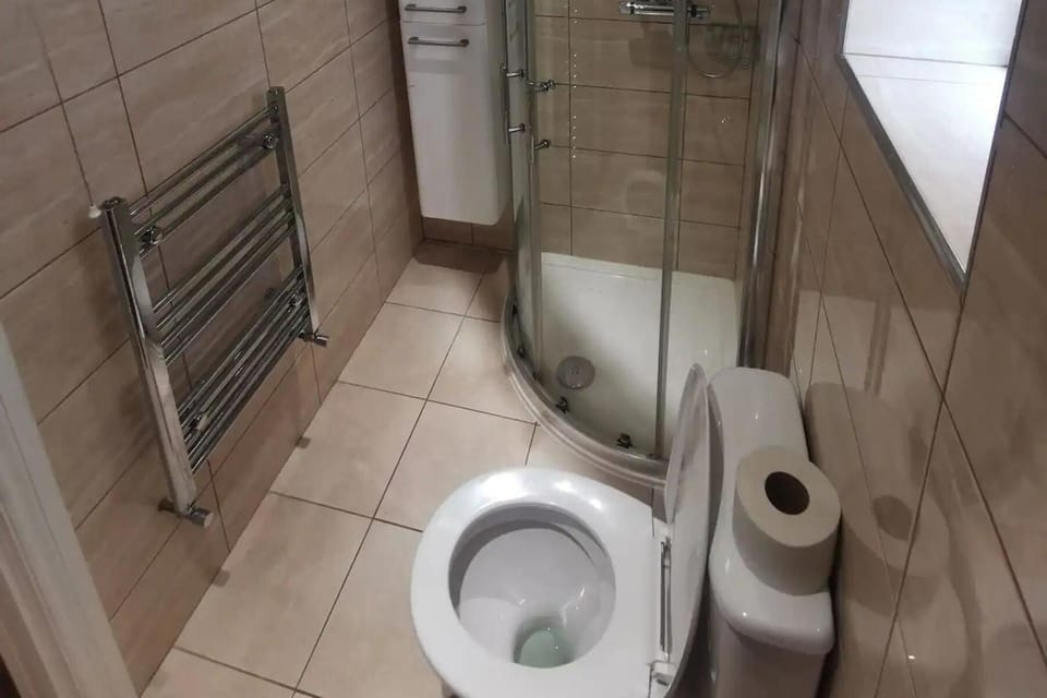 Shower, towels, toilet paper