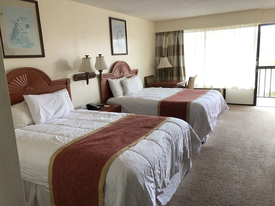 Standard Room, 2 Double Beds | Desk, iron/ironing board, rollaway beds, free WiFi