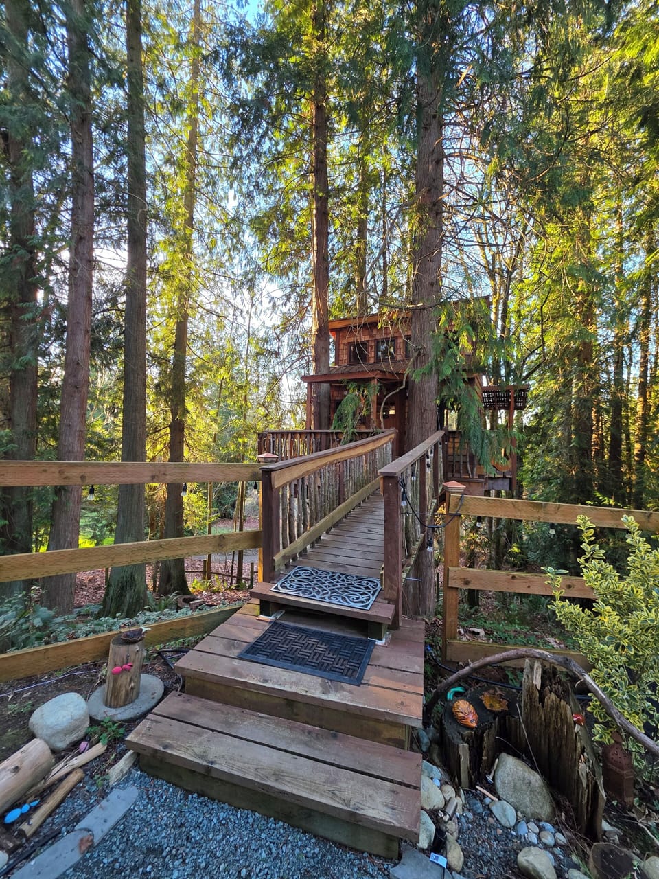 Ramp to the treehouse