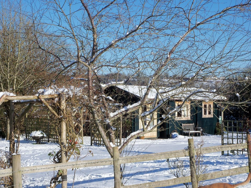 Cabin | Property grounds