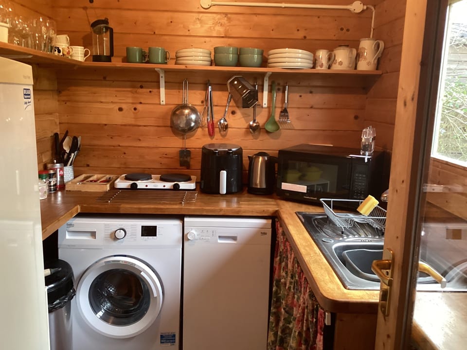 Cabin | Private kitchen | Fridge, microwave, oven, stovetop