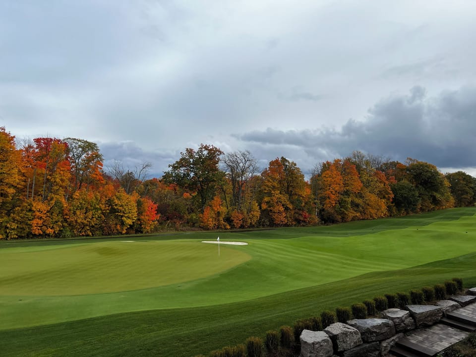 Nest Golf Club