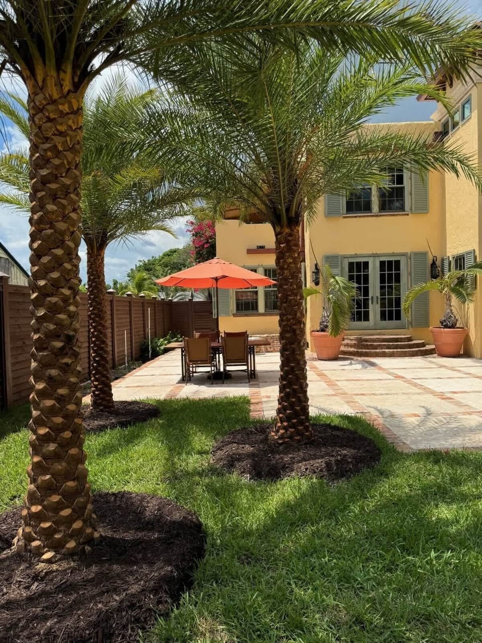 Palm Court Patio