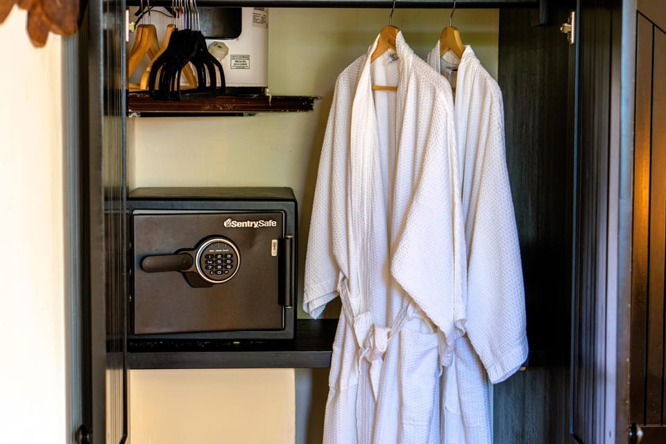 Closet with Robes