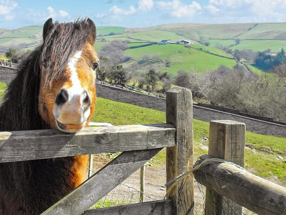 Surrounding area | Glynogwr Lodge, Black Mill, near Bridgend