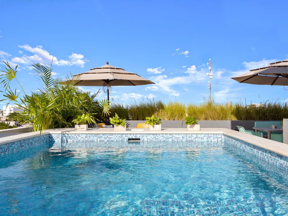 Outdoor pool, sun loungers