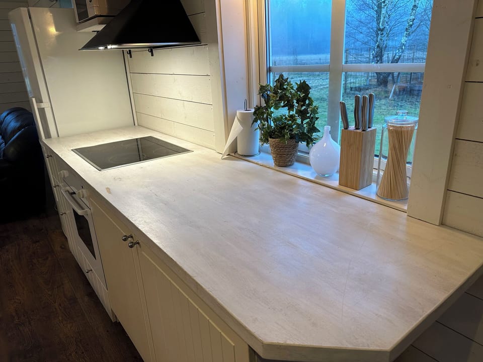 Full-size fridge, microwave, oven, stovetop