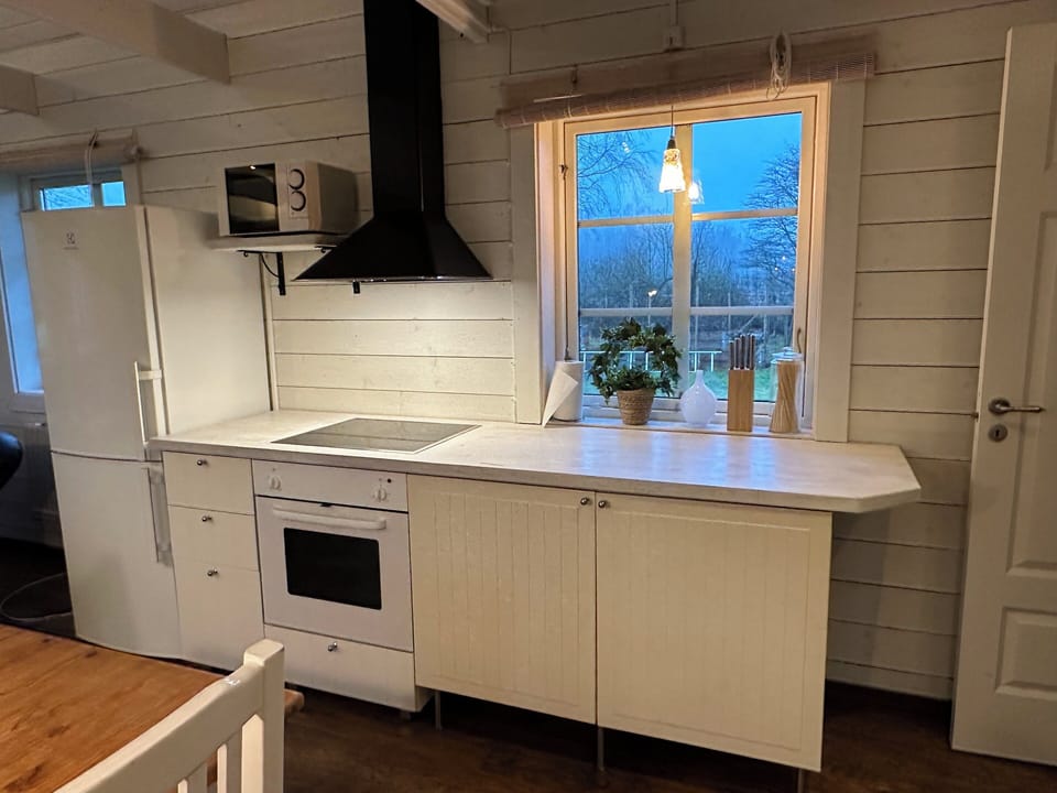 Full-size fridge, microwave, oven, stovetop