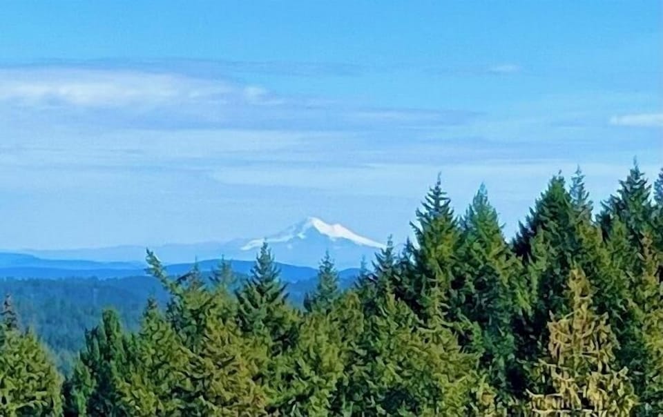 Stunning views of Mt. Baker from all bedrooms and living spaces