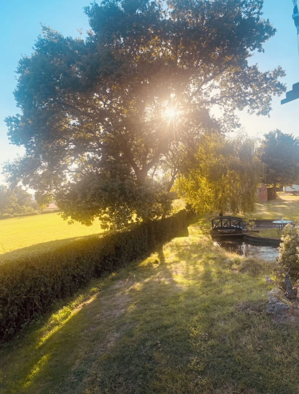 Miscellaneous