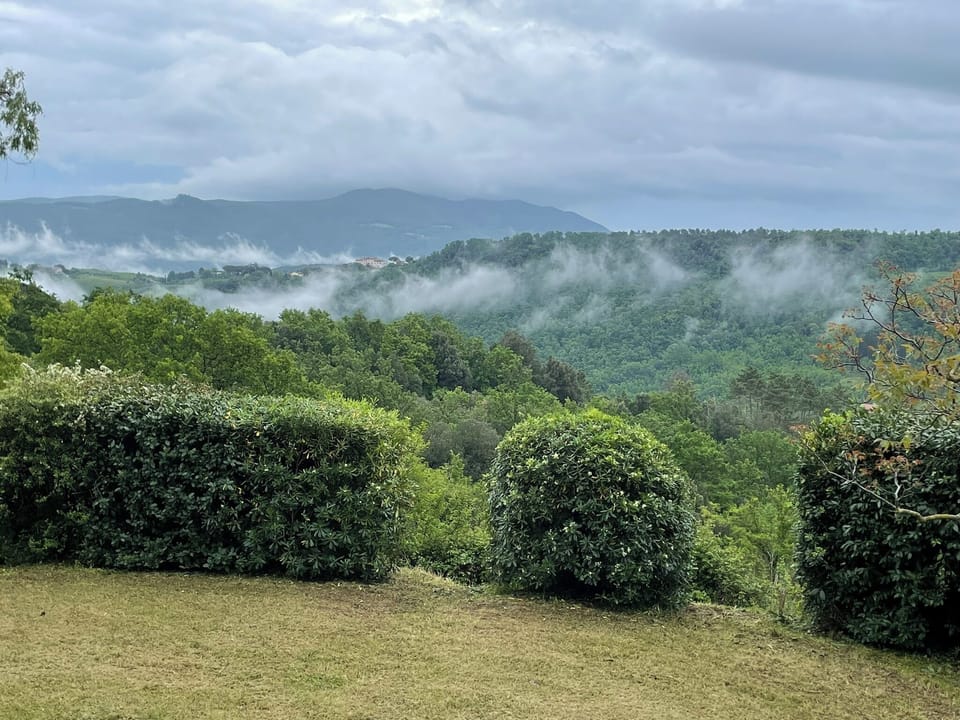 View from terrace