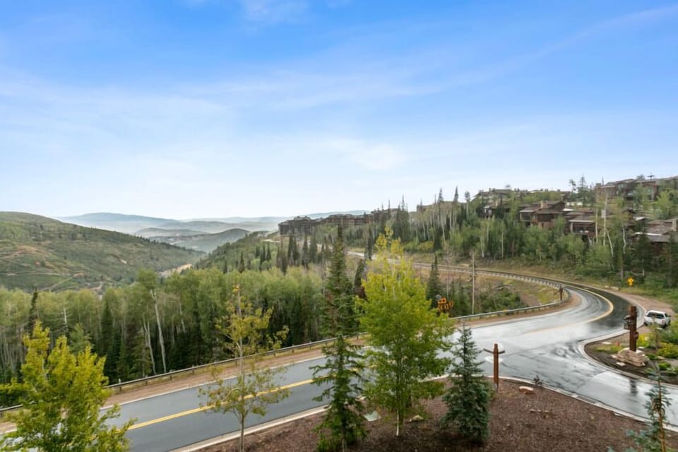 Road, Tree, Fir, Freeway, Highway