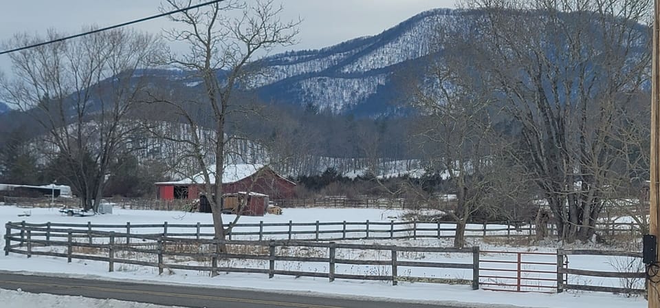 Winter view from the guest front deck 