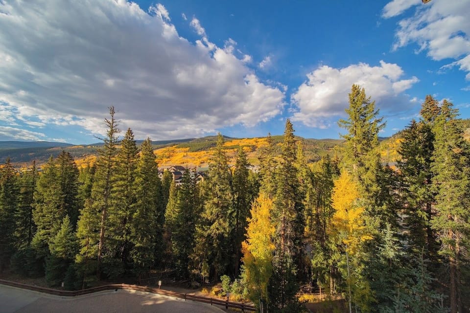Amazing view in the #fall