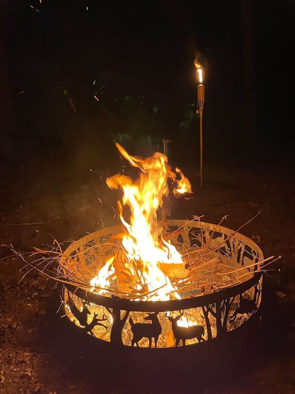 Fireplace
